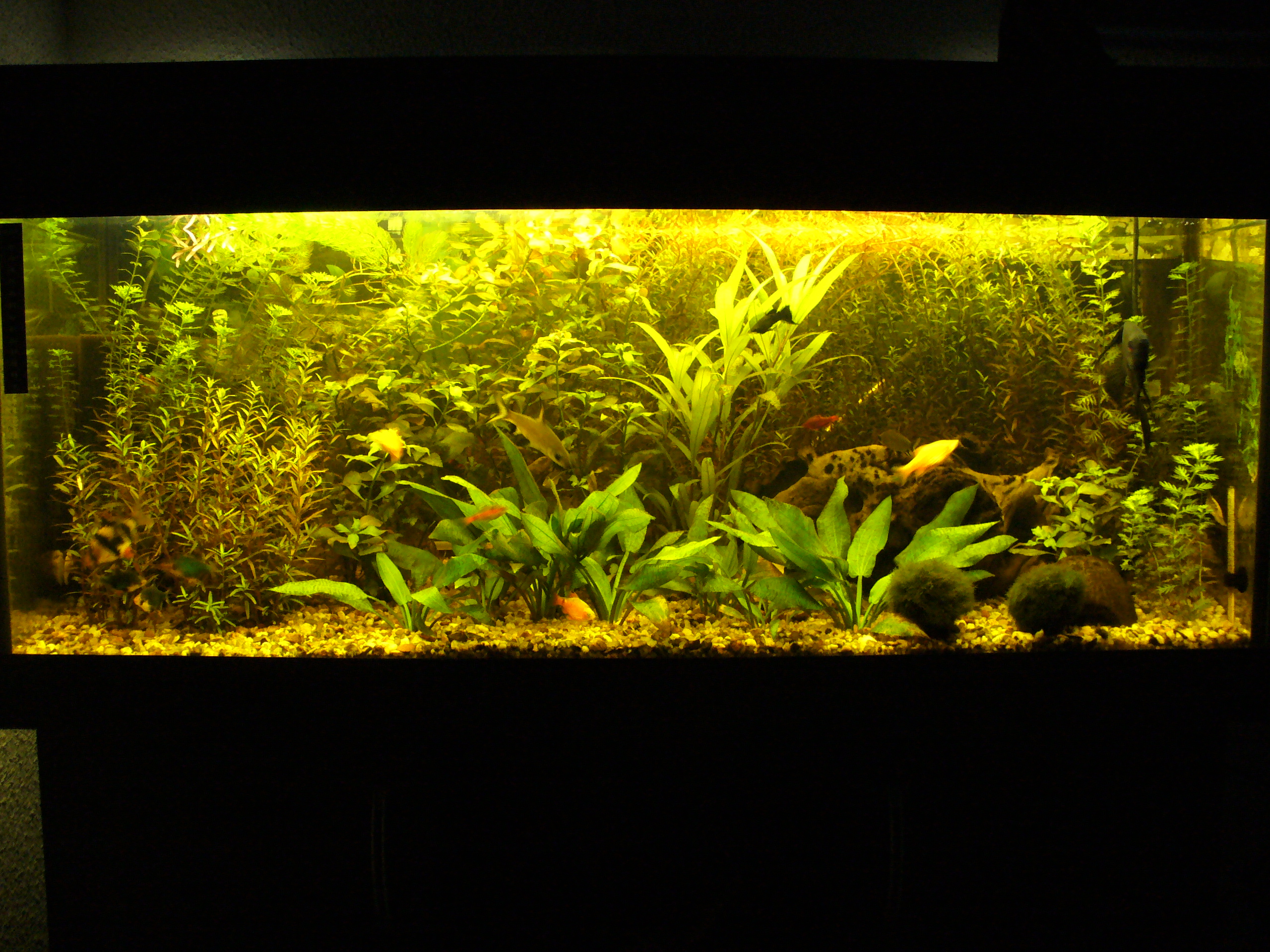 P1060023.JPG