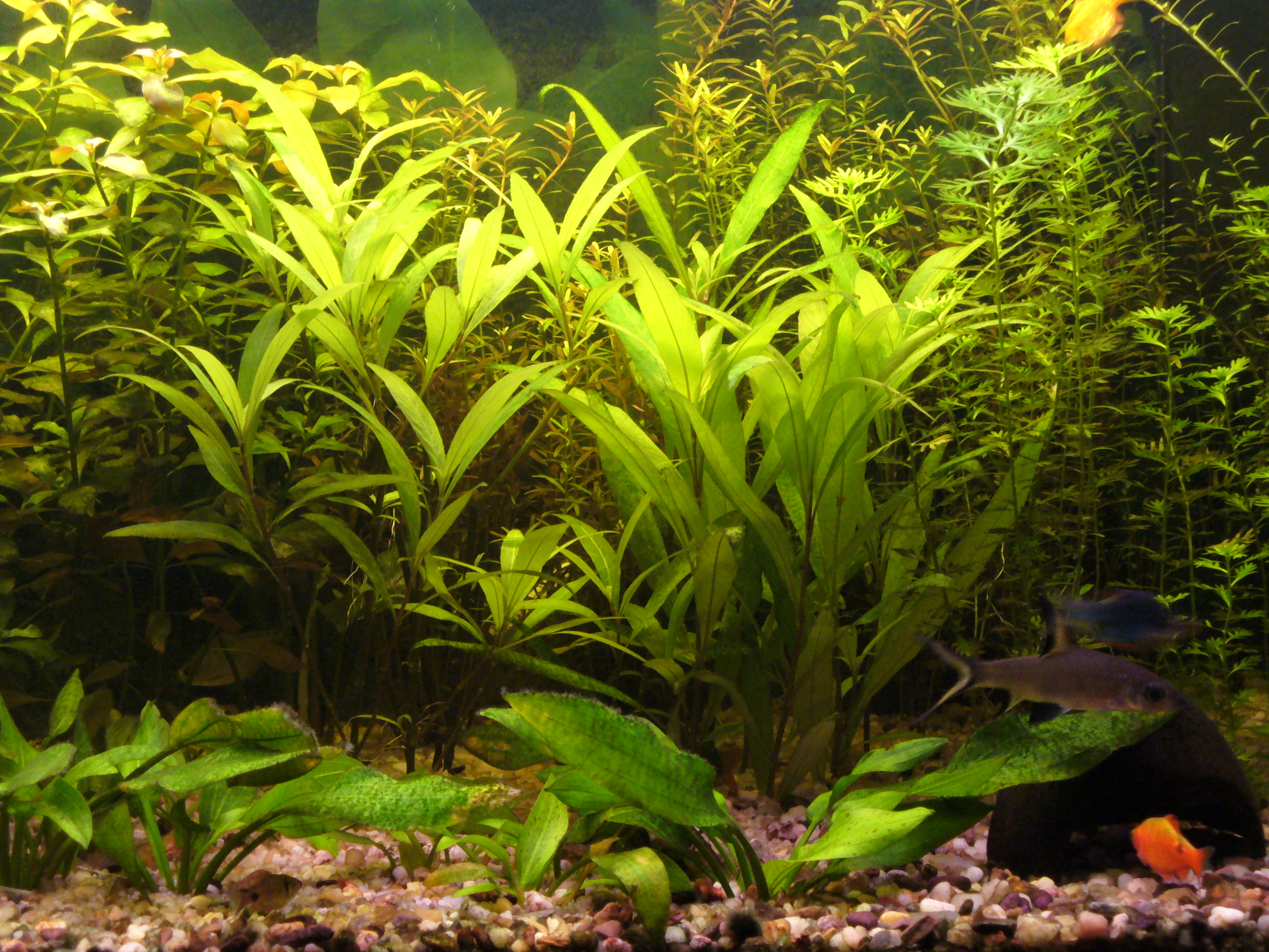 P1060061.JPG